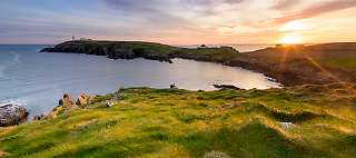cork