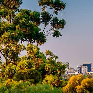 adelaide