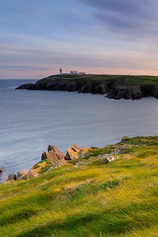 cork