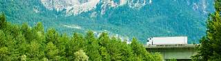 green header