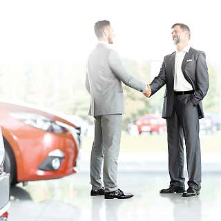 coca partners