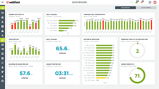 Interfaccia Webfleet che indica in modo completo i dati del parco veicoli