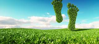 eco friendly feet