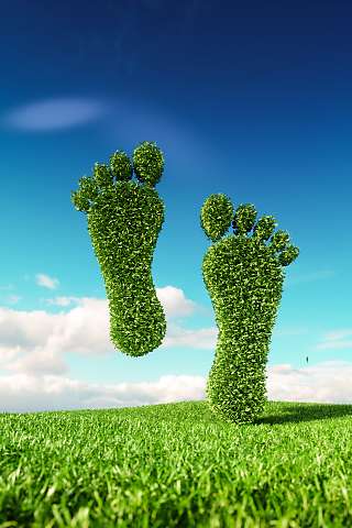 eco friendly feet