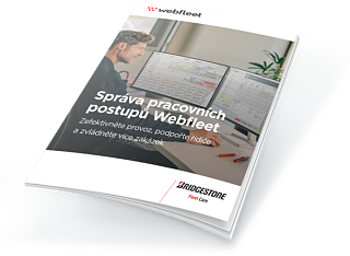 wf workflow management